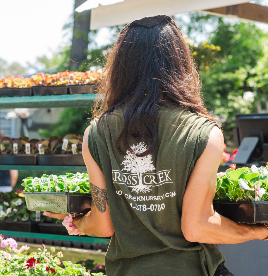 cross creek employee